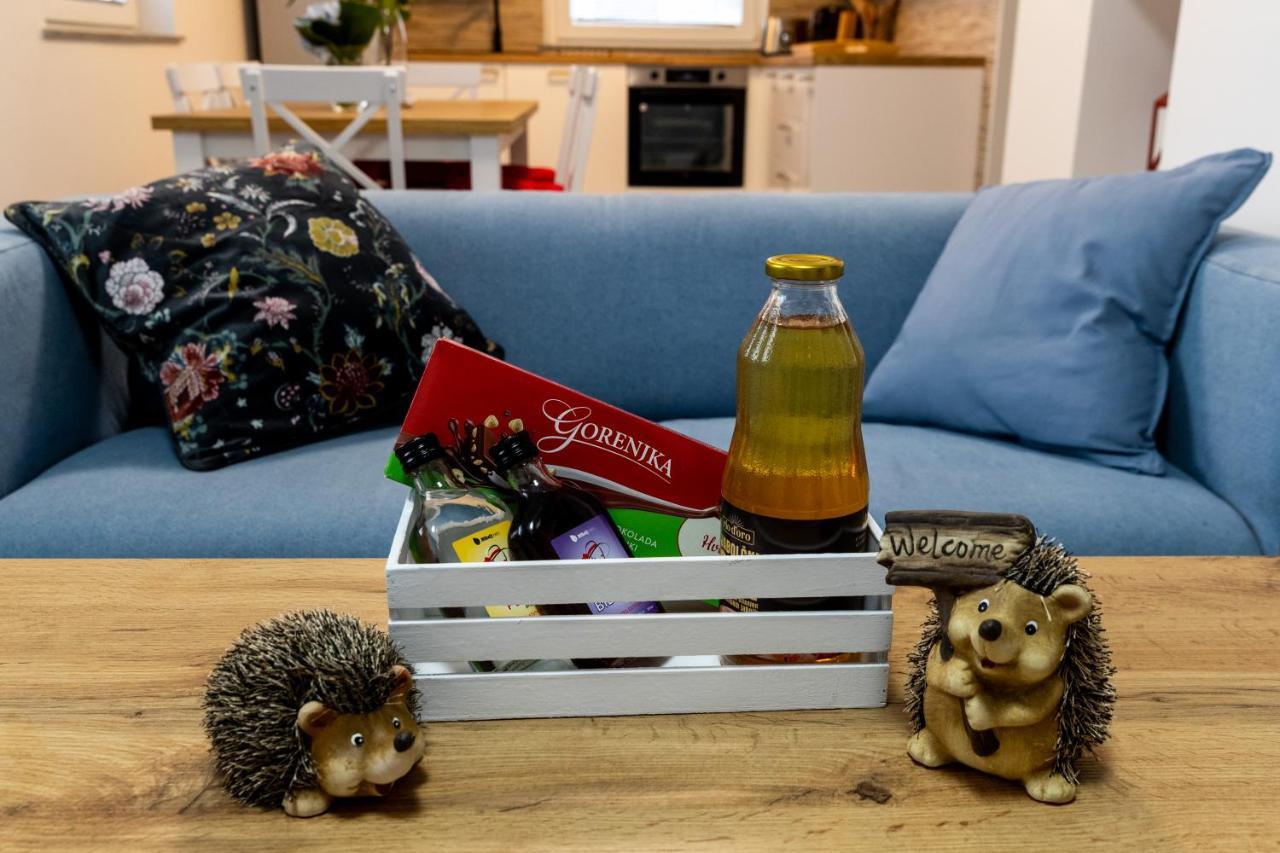Aparthouse Jana Breg ゴレンスカ地方 エクステリア 写真